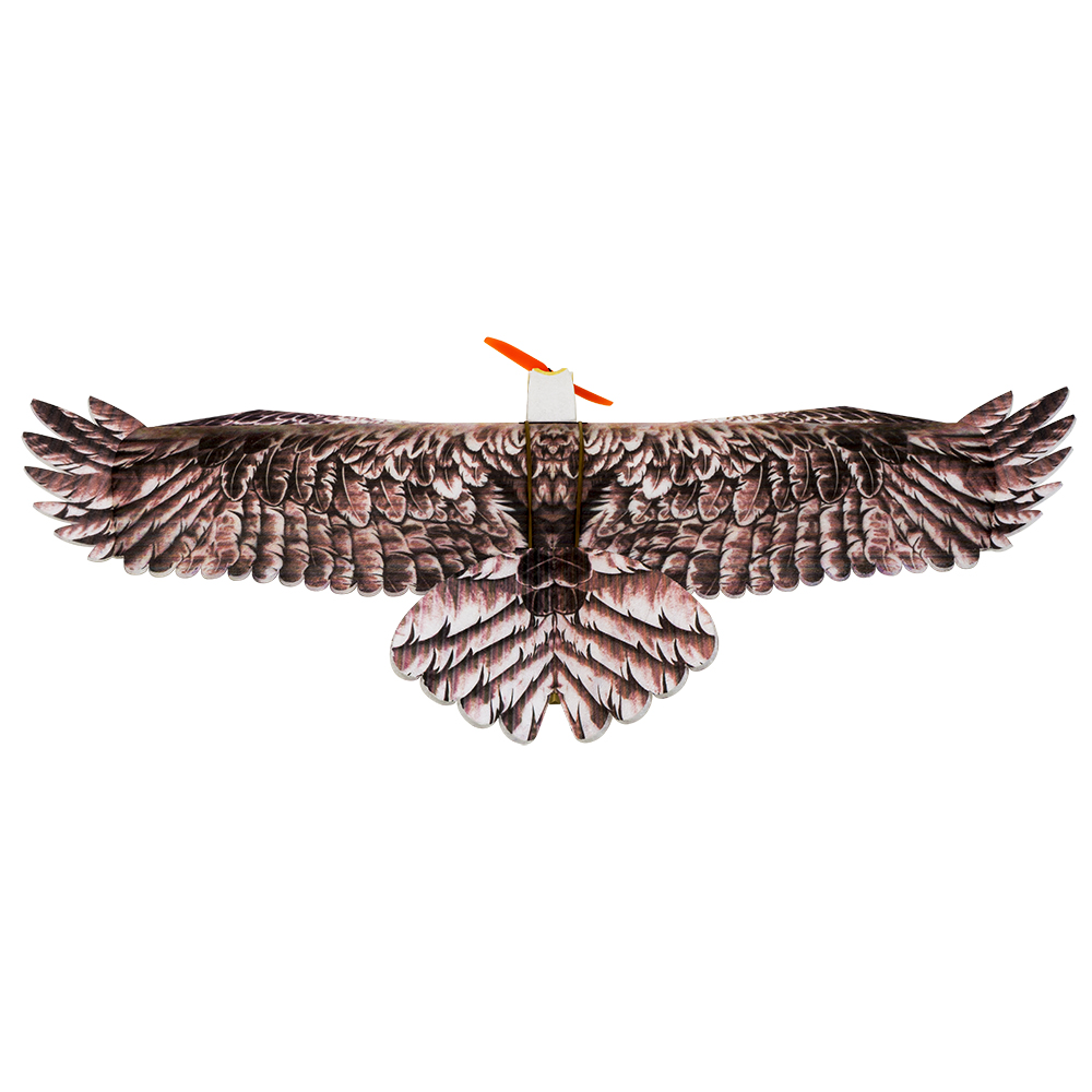 DW Hobby Eagle II EPP Airplane – Rc Hobby Experts recenzja i cena