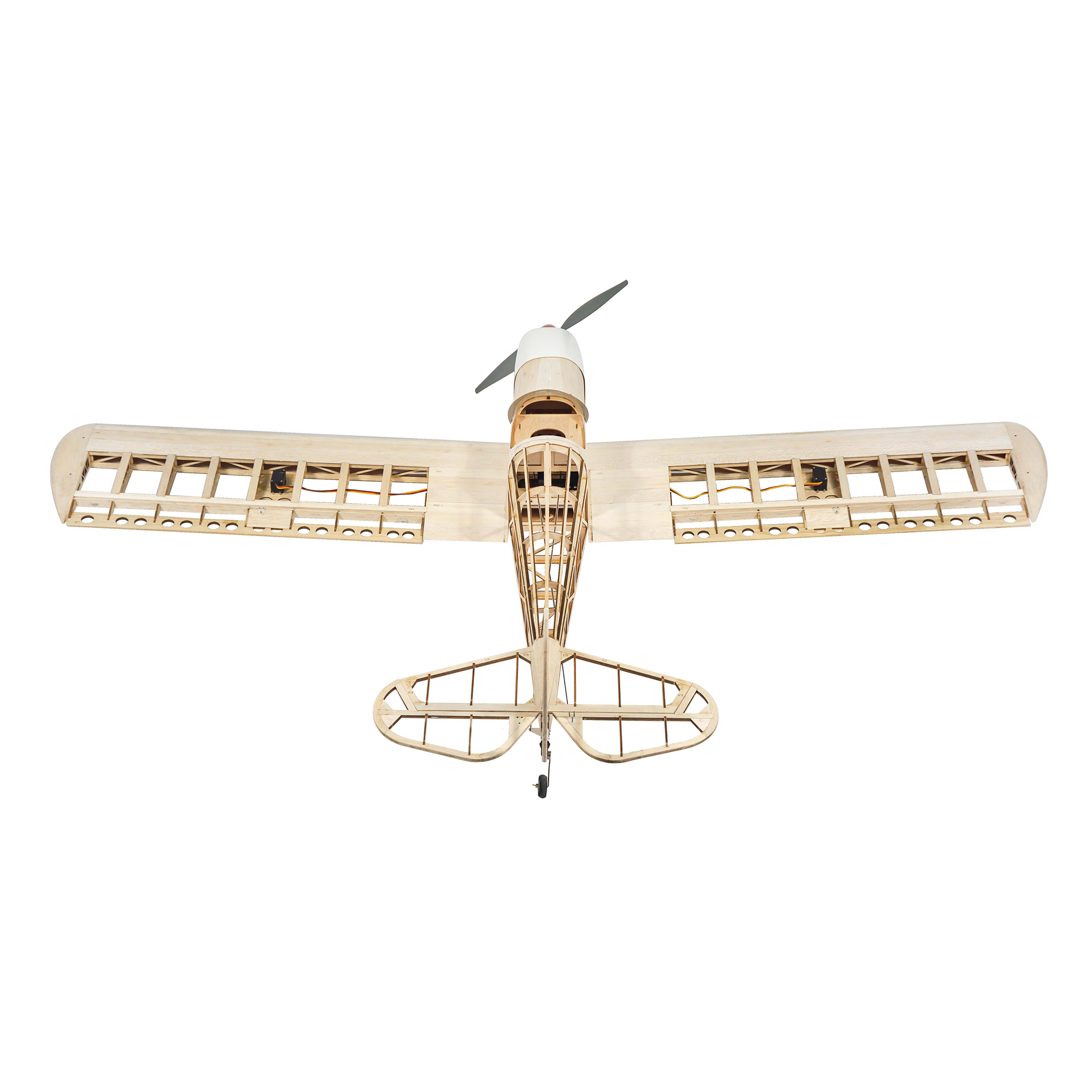 Dancing Wings Hobby 1.6M (63in – Rc Hobby Experts recenzja i cena