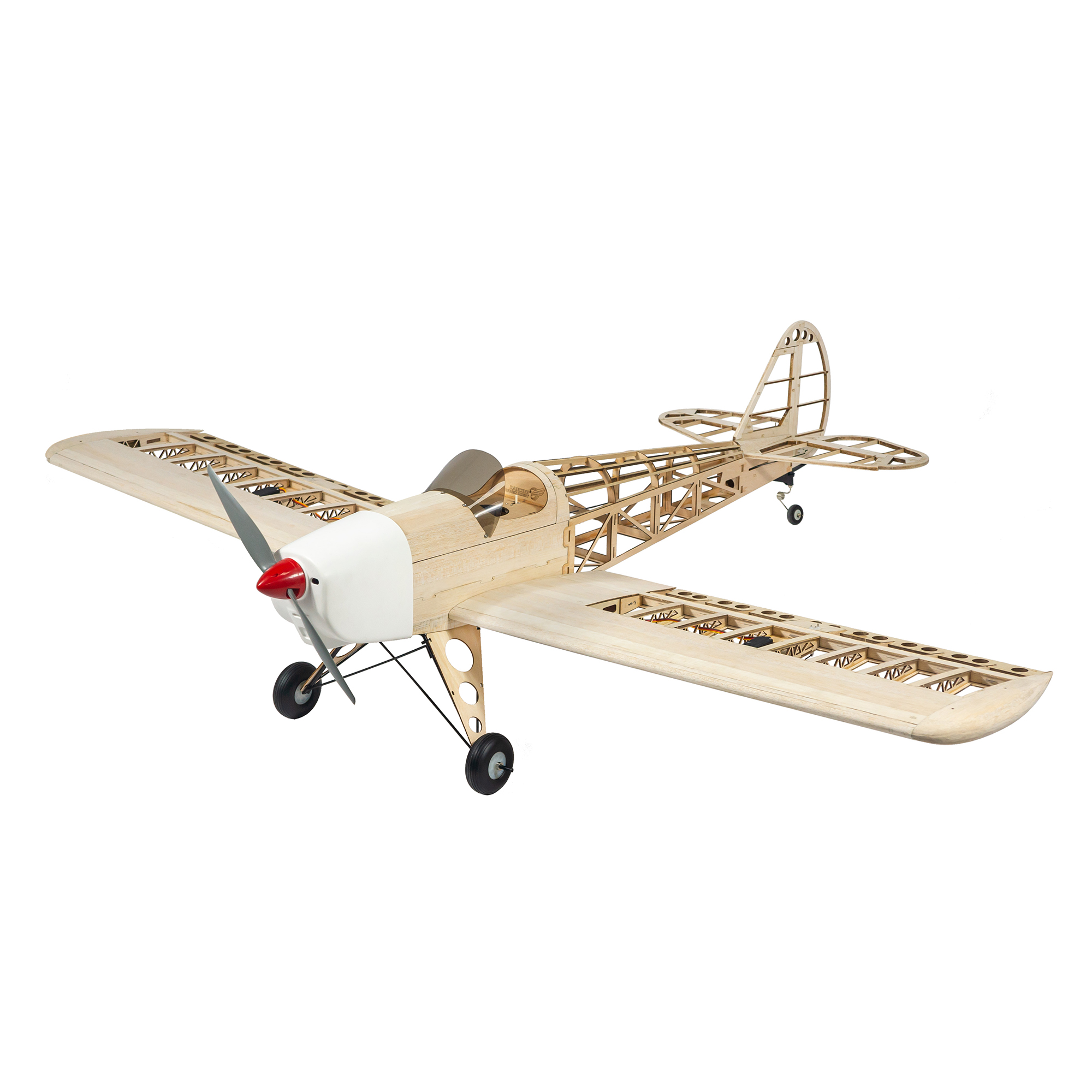 Dancing Wings Hobby 1.6M (63in – Rc Hobby Experts recenzja i cena