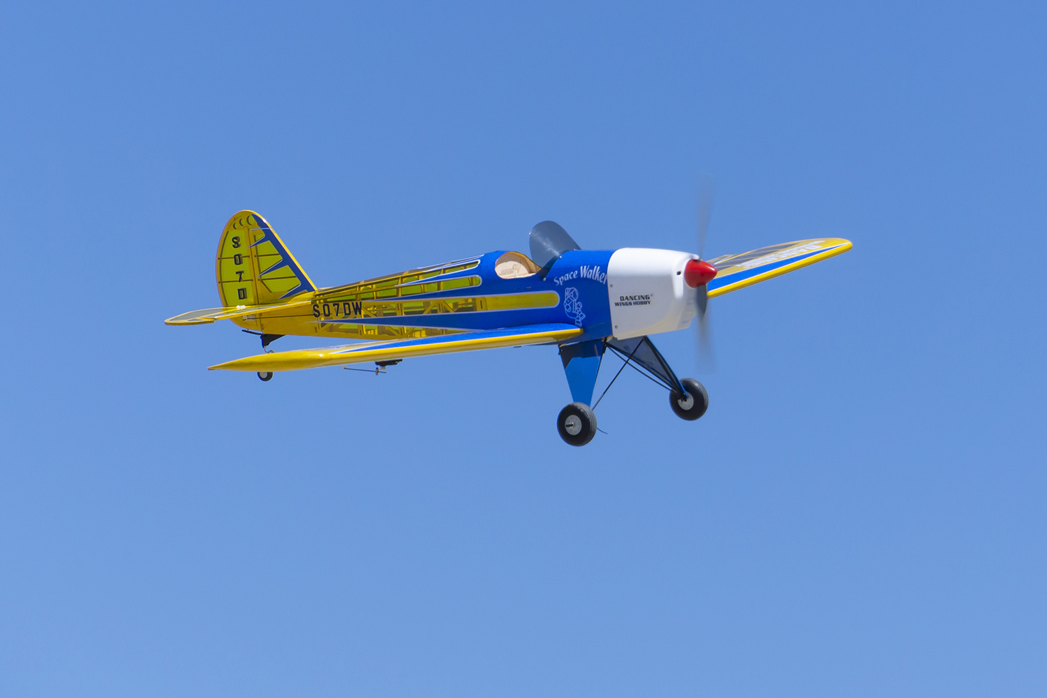 Dancing Wings Hobby 1.6M (63in – Rc Hobby Experts recenzja i cena